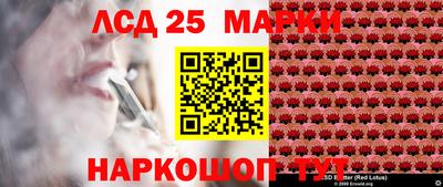 дмт Славгород