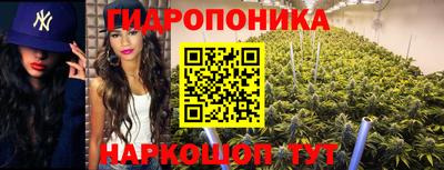 дмт Славгород