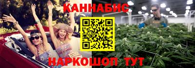 дмт Славгород
